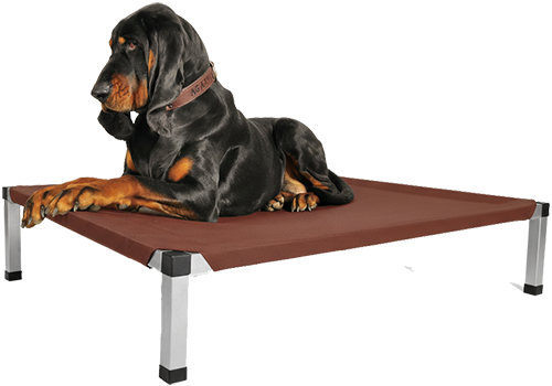 Agat lehatko png malinka